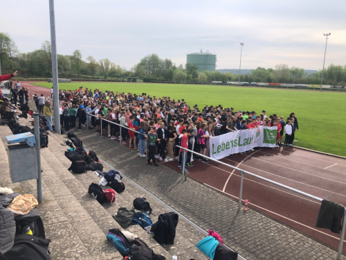 IMG_2611